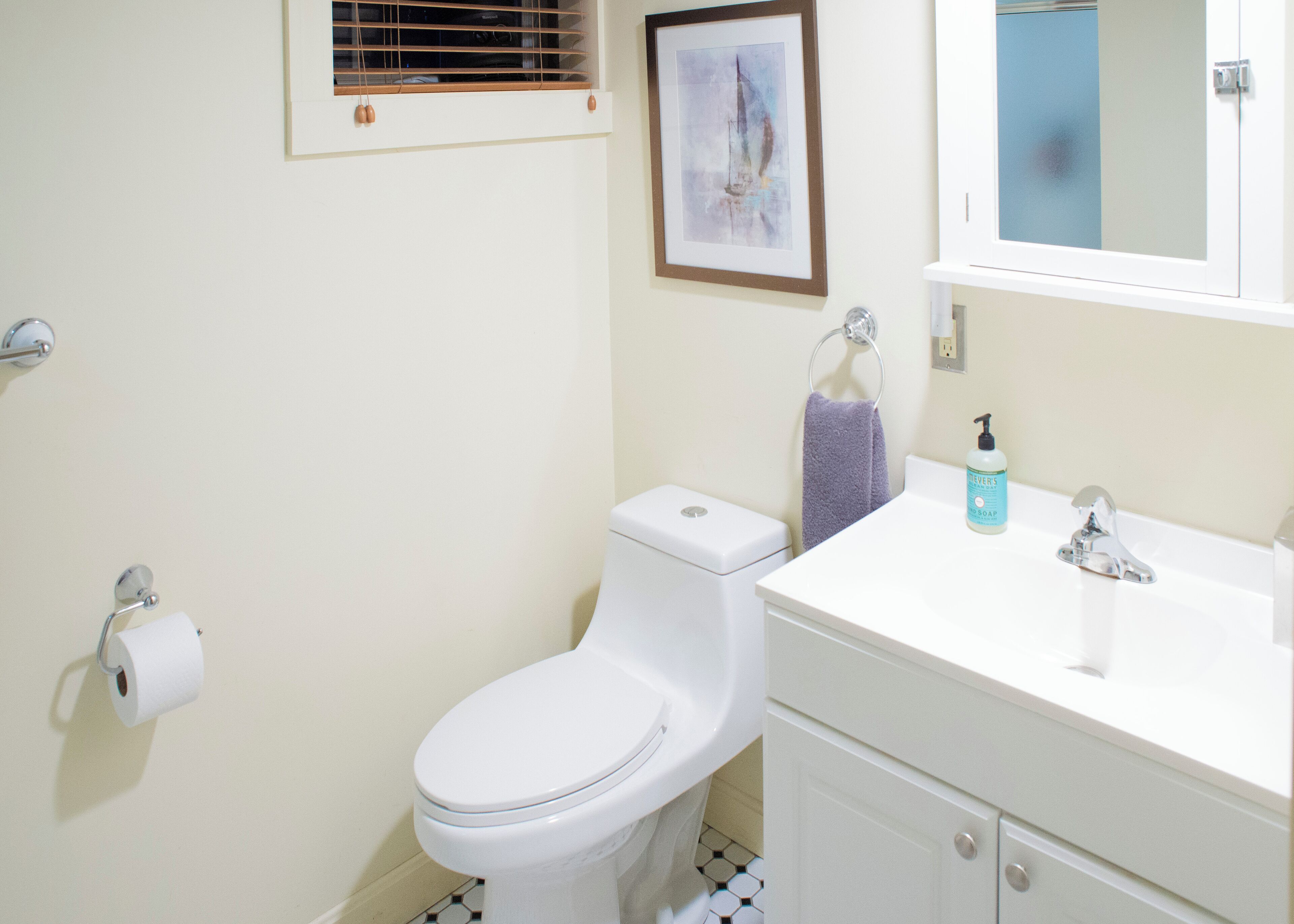 Een badkamer met toilet, een wastafel en een ingelijste foto aan de muur.