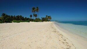 Una extensa playa de arena con aguas azul cristalina, palmeras y cielo despejado.