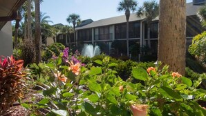 A courtyard with a fountain, palm trees, and various plants. - Great St. Augustine beach vacation rental at a family friendly price! (Saint Augustine)