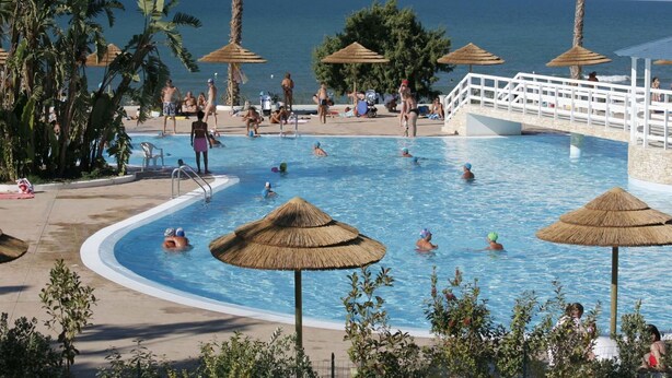 Un área de piscina con un puente, palmeras y sombrillas.