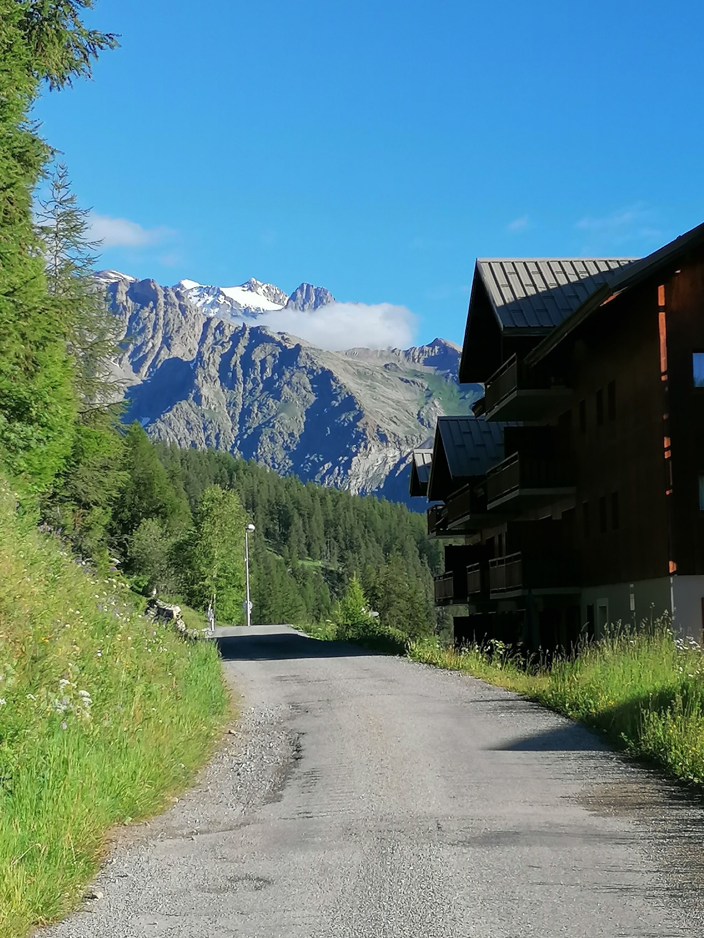 Eksteriør