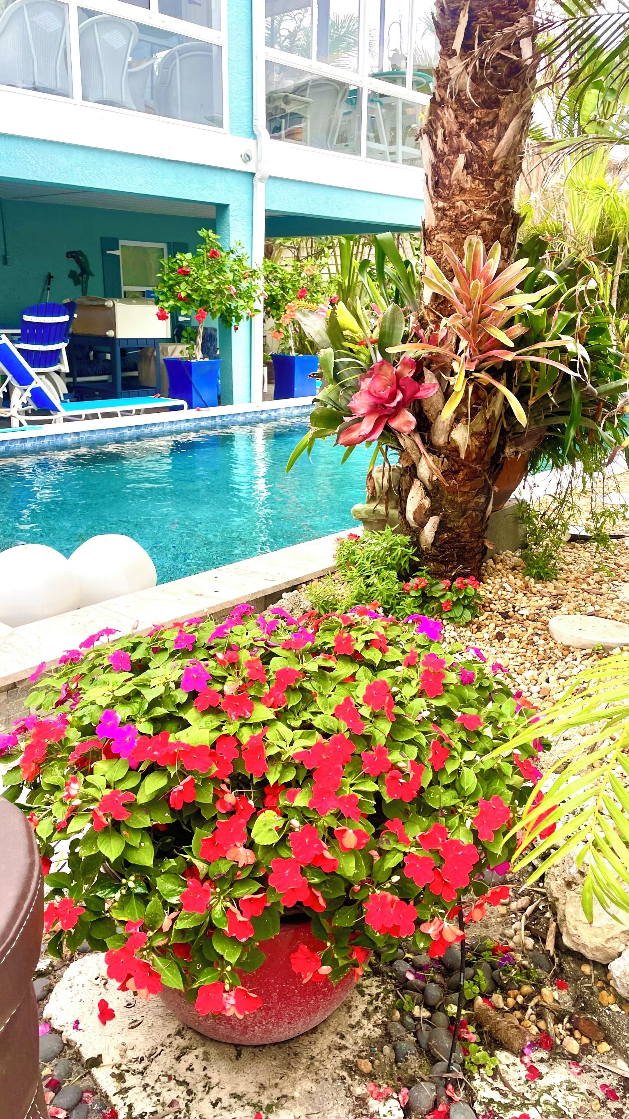 A pool area with a blue building, lounge chairs, and potted plants.