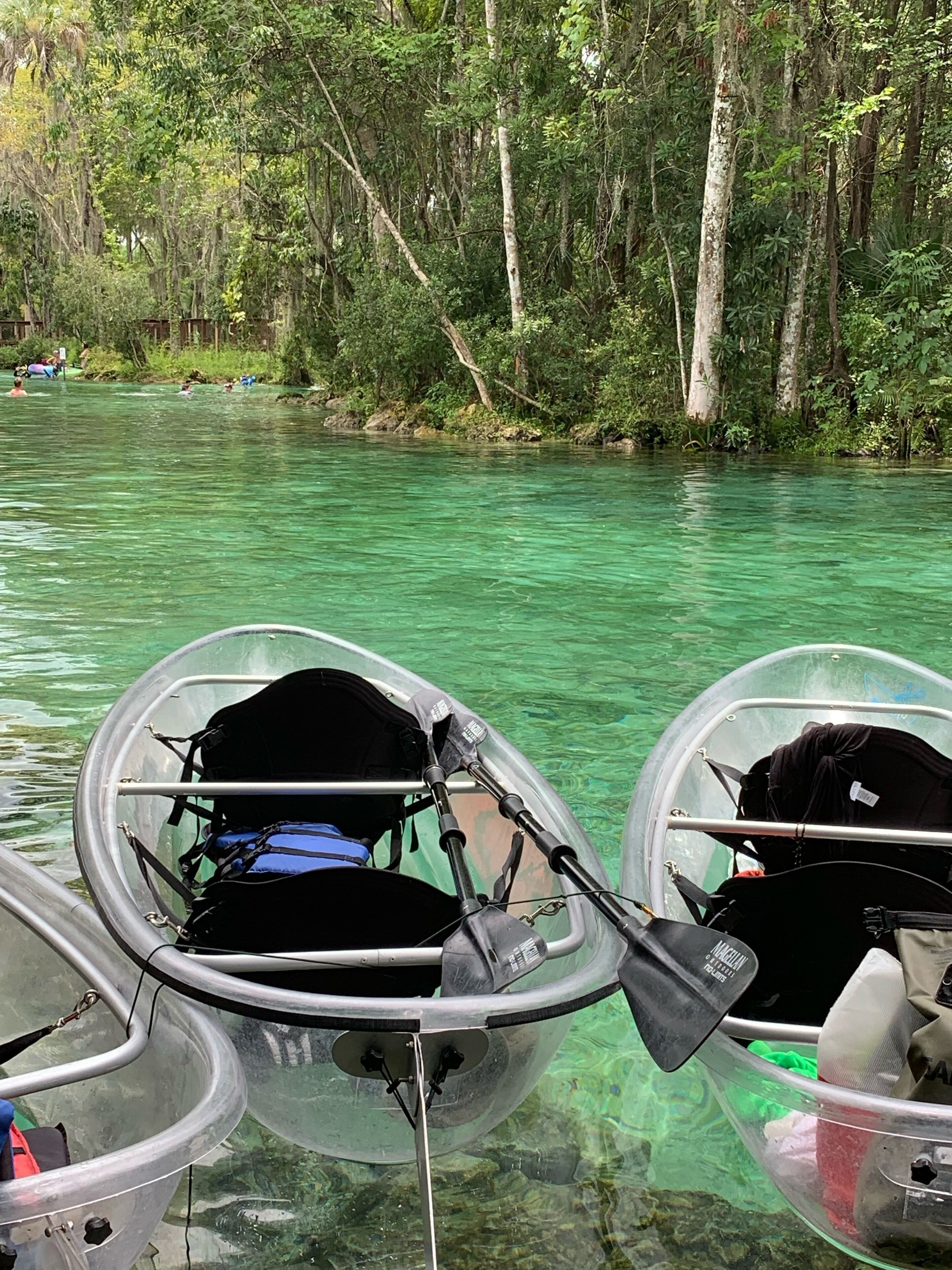 A clear view of a river with boats docked along the shore, surrounded by dense forest.