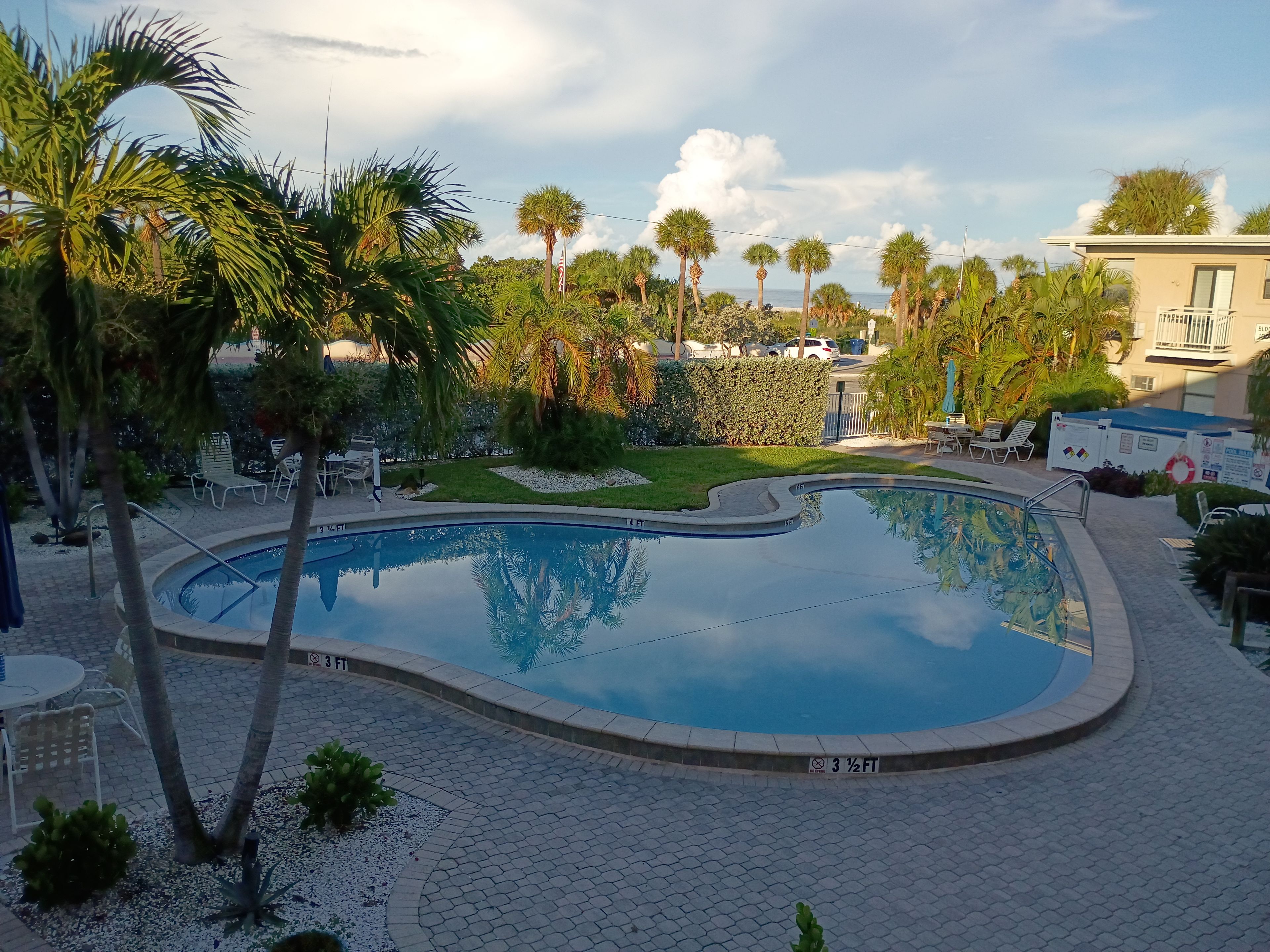 A swimming pool with a surrounding paved area, palm trees, and a building in the background.