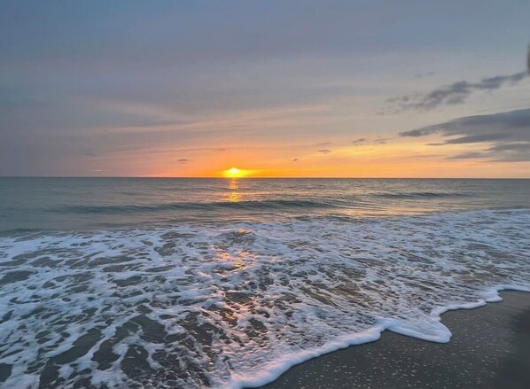 Beach nearby, beach umbrellas