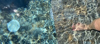 Villa 4 PAX With seaview and small swimmingpol