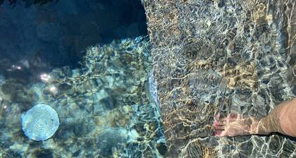 Villa piscine vue mer Ă 5 mn de la plage Ă pied