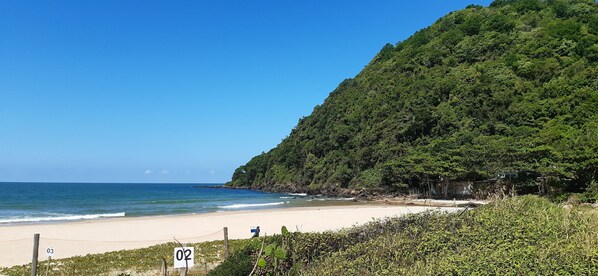 Playa en los alrededores, playa de arena blanca y 8 bares en la playa