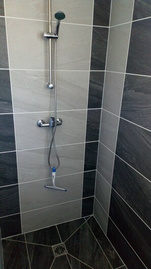 Shower, hair dryer