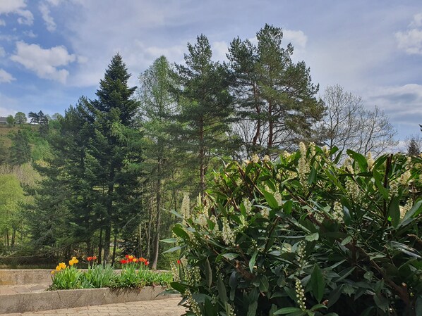 Un jardín con diversas plantas y árboles, incluyendo una zona con flores rojas y un camino.