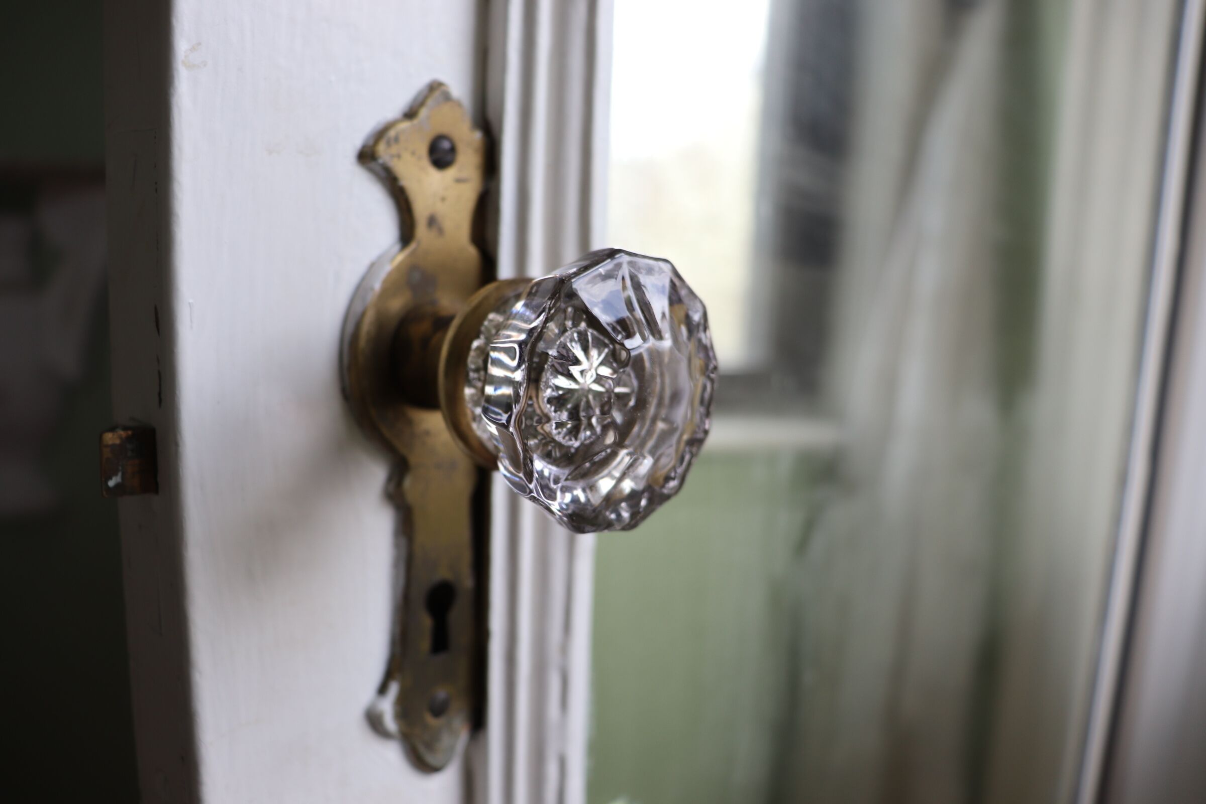 A door with a brass handle and a crystal knob.