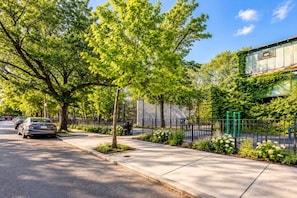 A tree-lined street with parked cars and a bench.