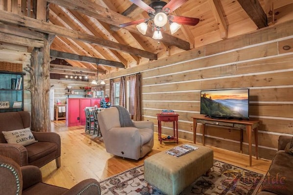 TV, fireplace, DVD player, books