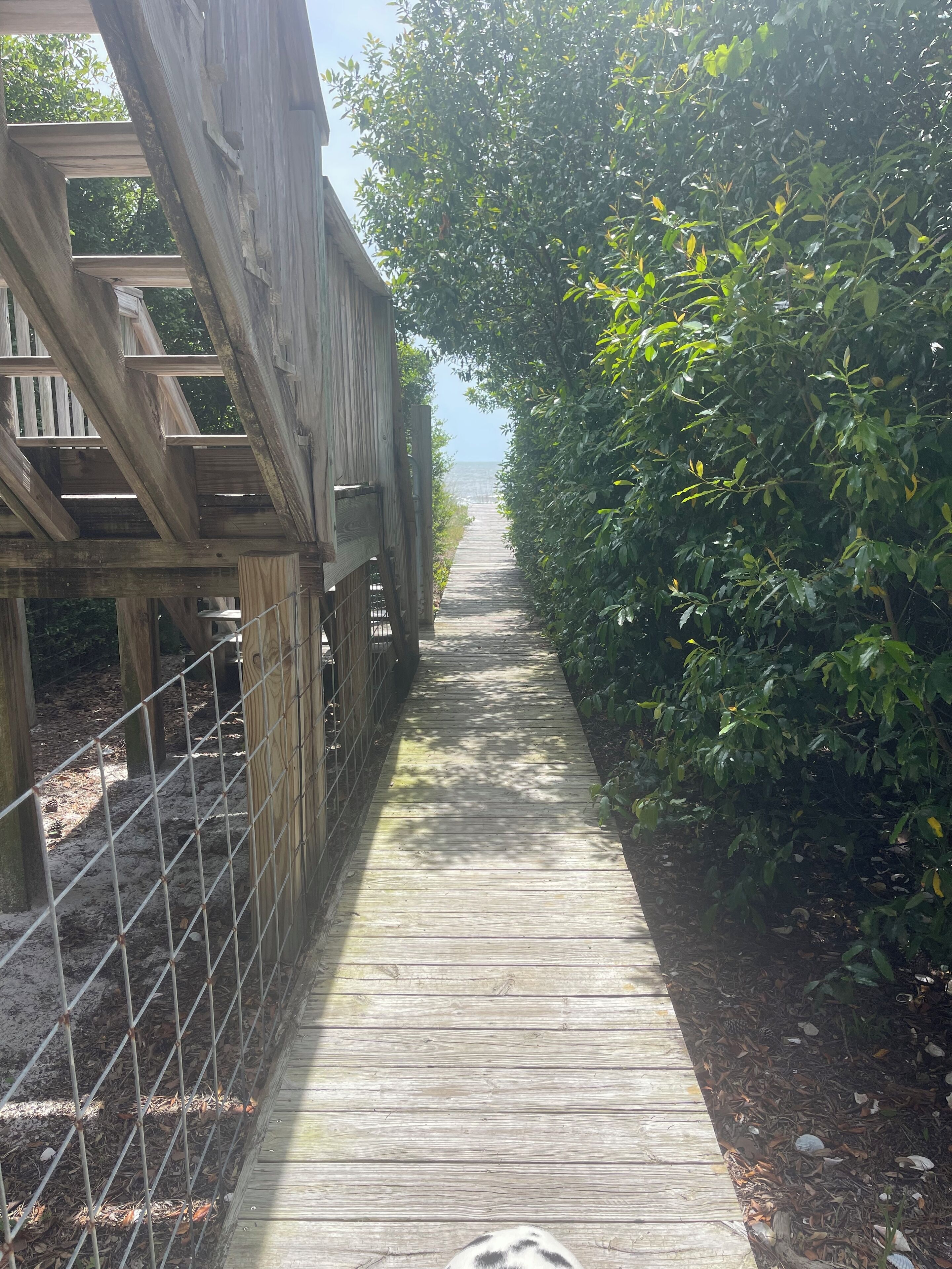 A wooden boardwalk leading to a beach, surrounded by dense foliage and a wooden structure on the left.