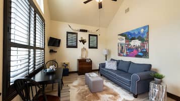 Smart TV, fireplace, books