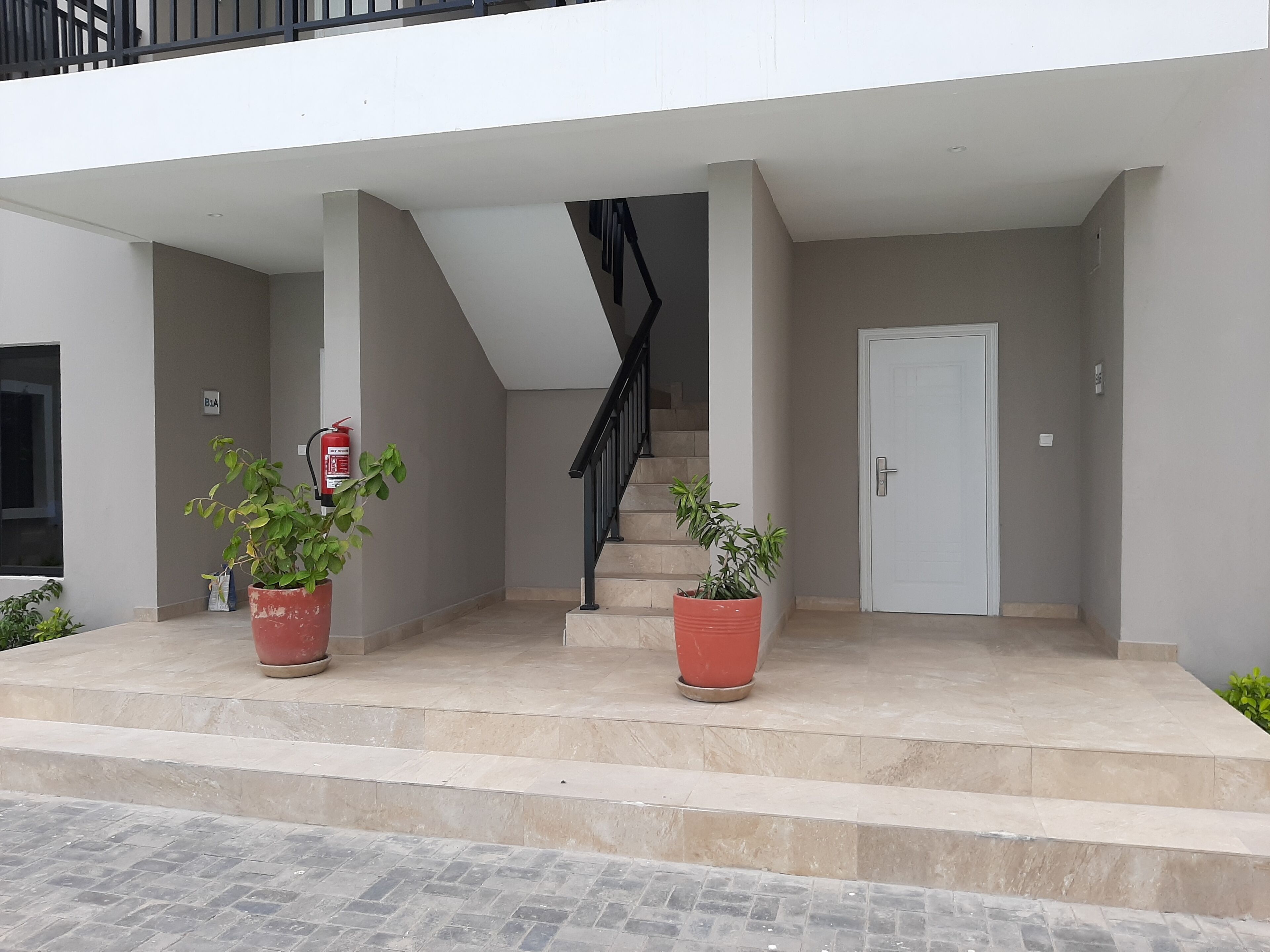 A modern building entrance with a staircase, two potted plants, a fire extinguisher, and a door.