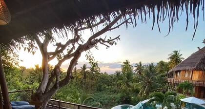 Room on the Real Tree