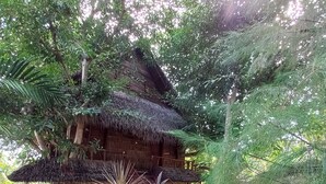A rustic house with a thatched roof, surrounded by lush greenery and a stone pathway leading to the entrance. - Room on the Real Tree (Bali)