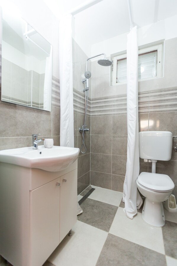 Shower, towels, toilet paper