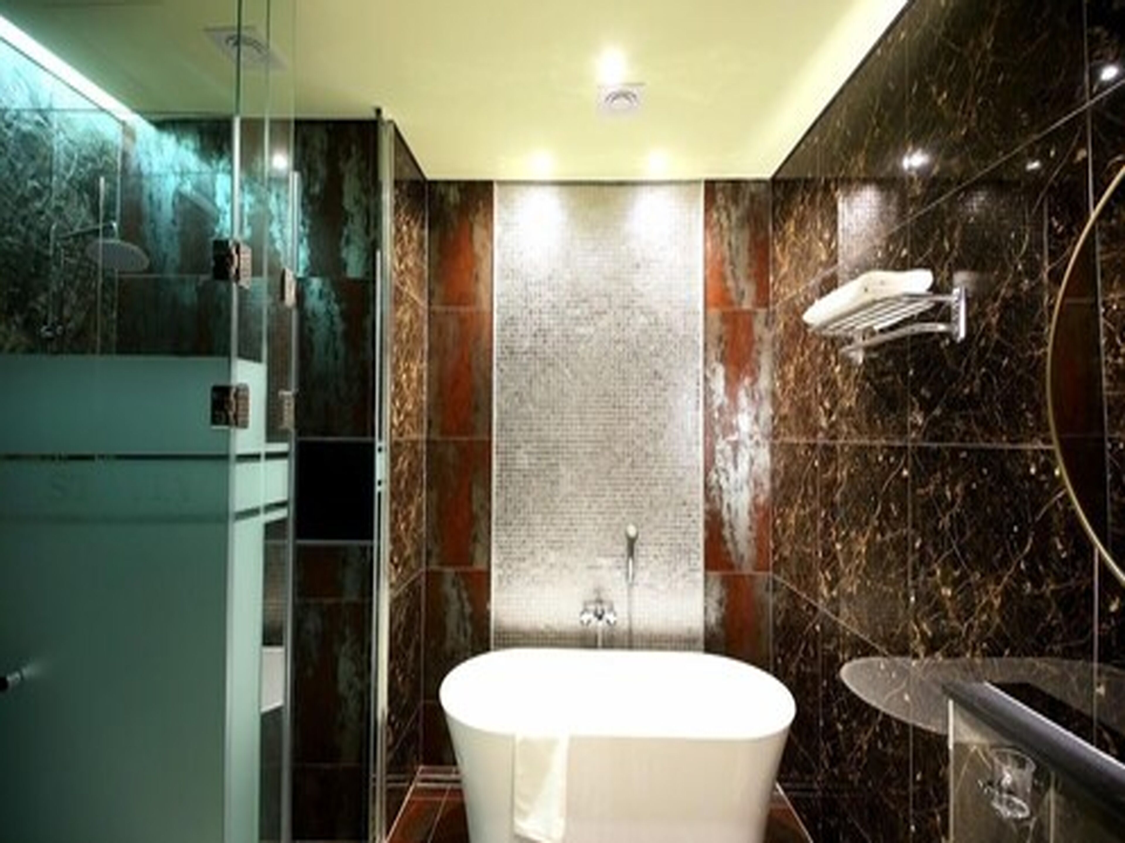 suite twin | bathroom | shower, free toiletries, hair dryer, bathrobes