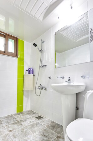 Shower, free toiletries, hair dryer, towels