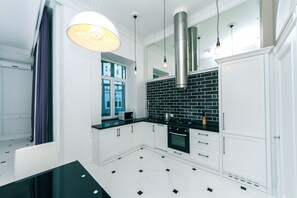 Two bedrooms VIP. 31 Pushkinska st. Center of Kyiv - 3027 | Private kitchen