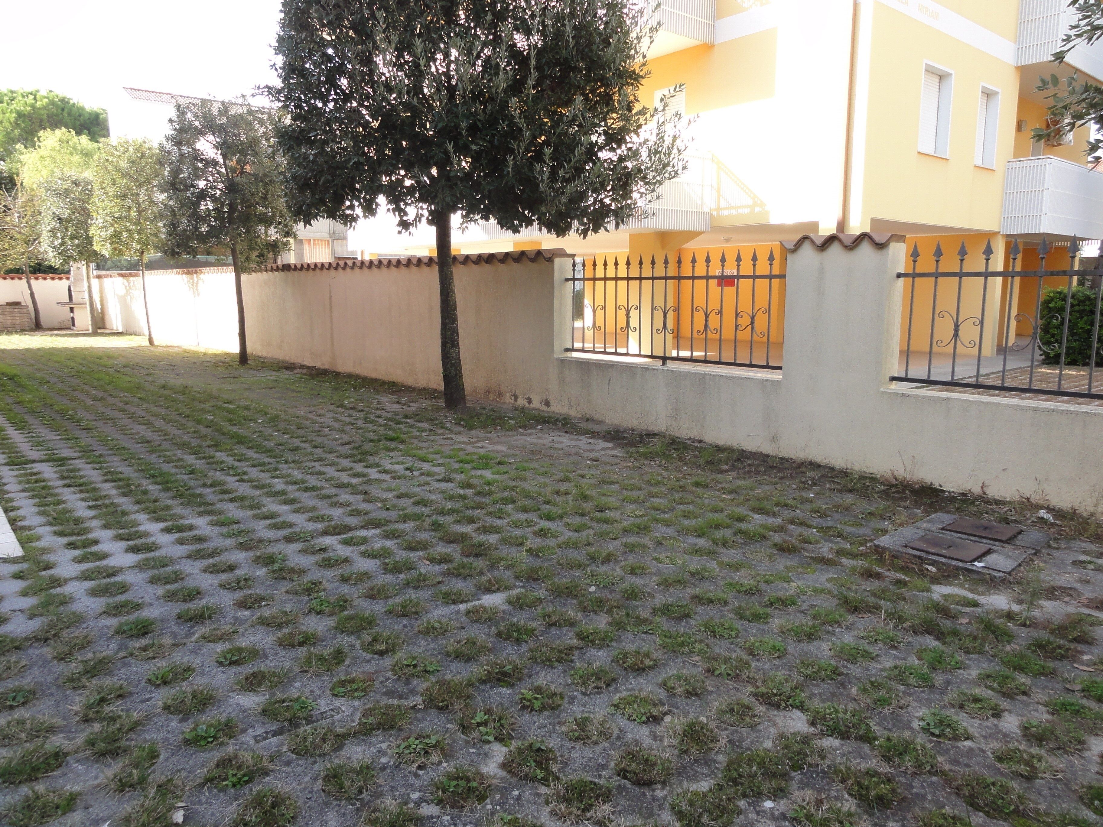 A paved courtyard with a tree, a low wall, and a building with barred windows.