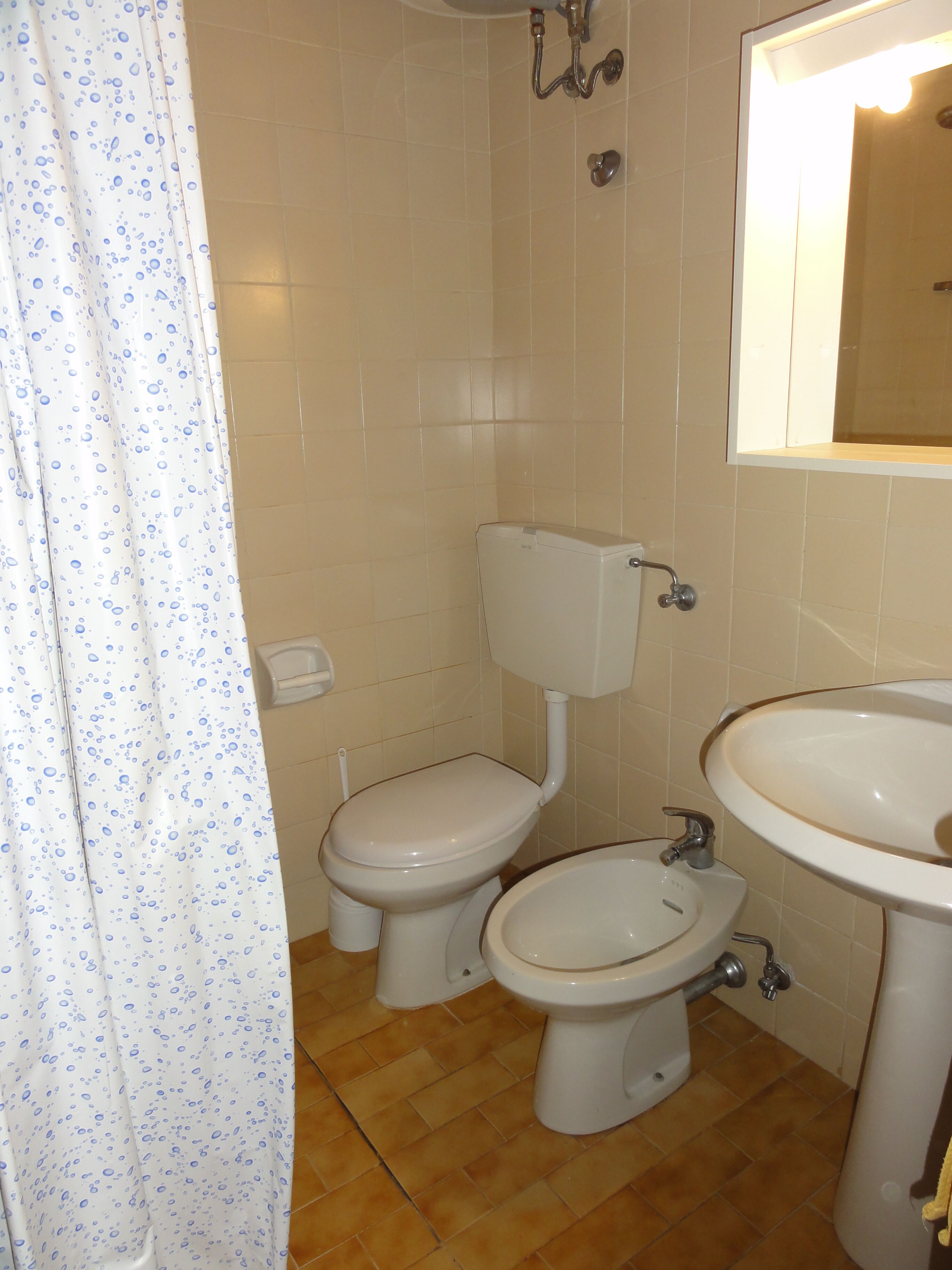 A bathroom with two toilets, a sink, and a shower curtain.