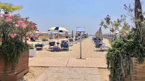 Una playa con filas de tumbonas y sombrillas, un paseo de madera que conduce a la playa, y plantas en macetas a ambos lados.