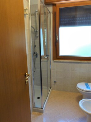 A bathroom with a glass shower enclosure, a toilet, and a wooden door.