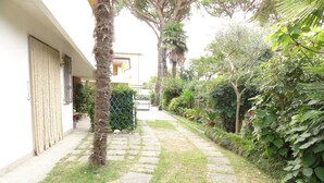 A pathway leading to a white building with a door and window, surrounded by lush greenery and a palm tree. - Villa Galasso (San Michele al Tagliamento)