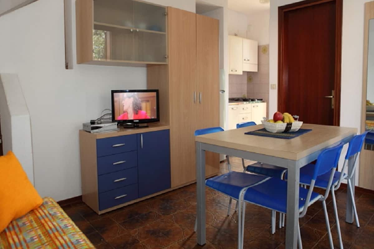 A compact living space with a kitchenette, a dining area with blue chairs, and a television on a cabinet.