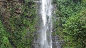 A waterfall cascading down a rocky cliff surrounded by lush greenery.