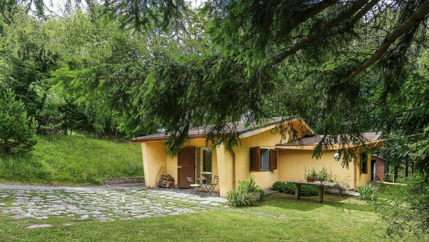 Una casita amarilla con un patio de piedra, rodeada de vegetación.