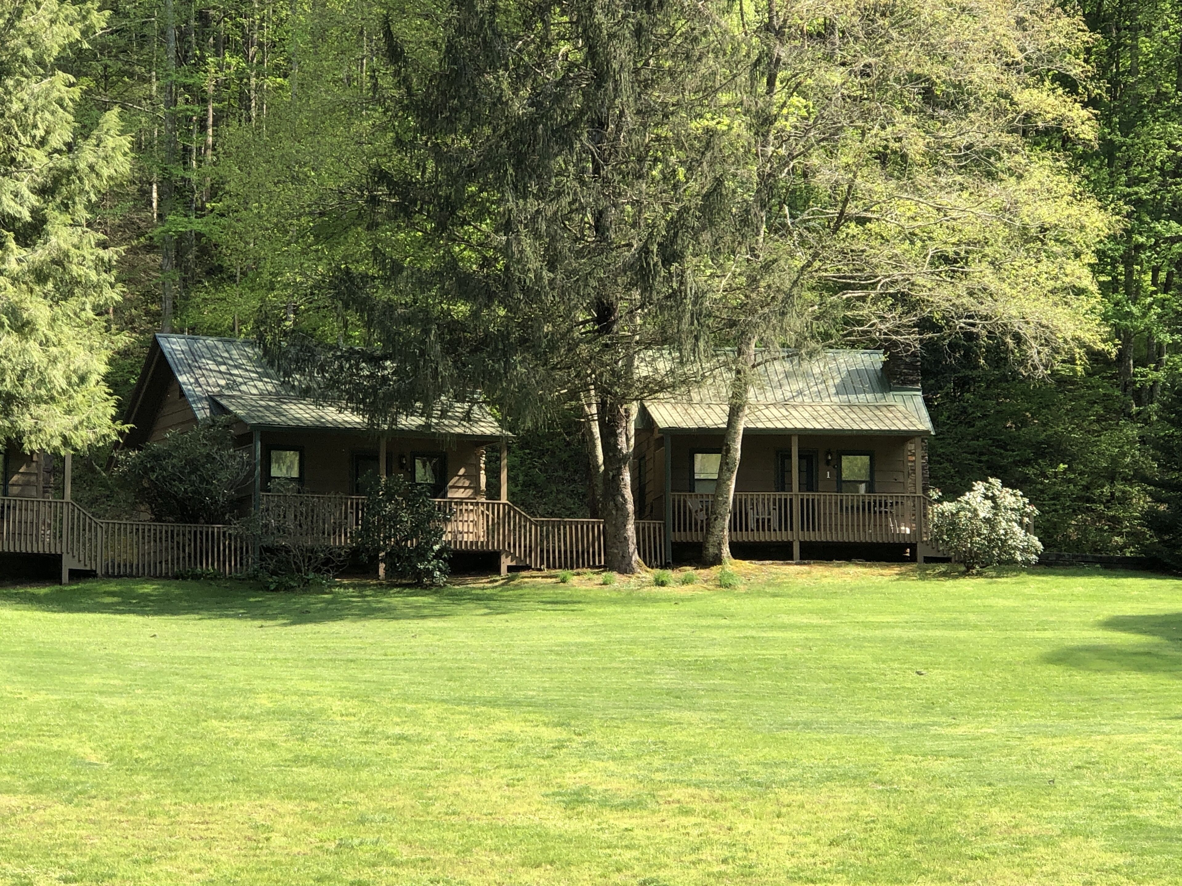 Cabin on a hillside overlooking beautiful Valley Springs Lake pet friendly (dog)