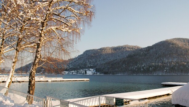 A snow-covered dock with a wooden railing, a tree in the foreground, and a lake with a forested hill in the background.