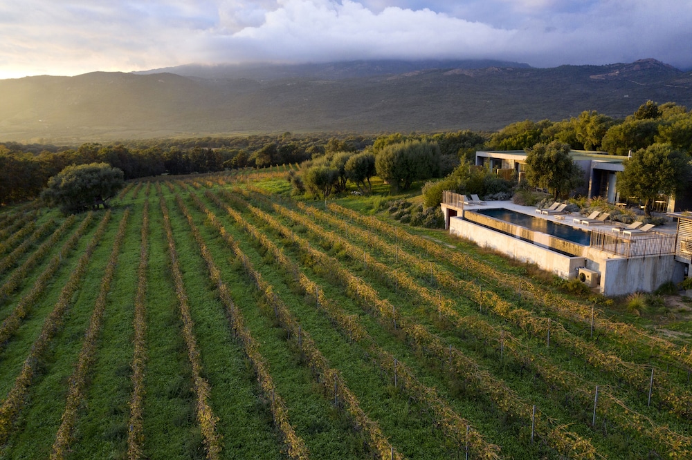 Domaine de Peretti della Rocca by null