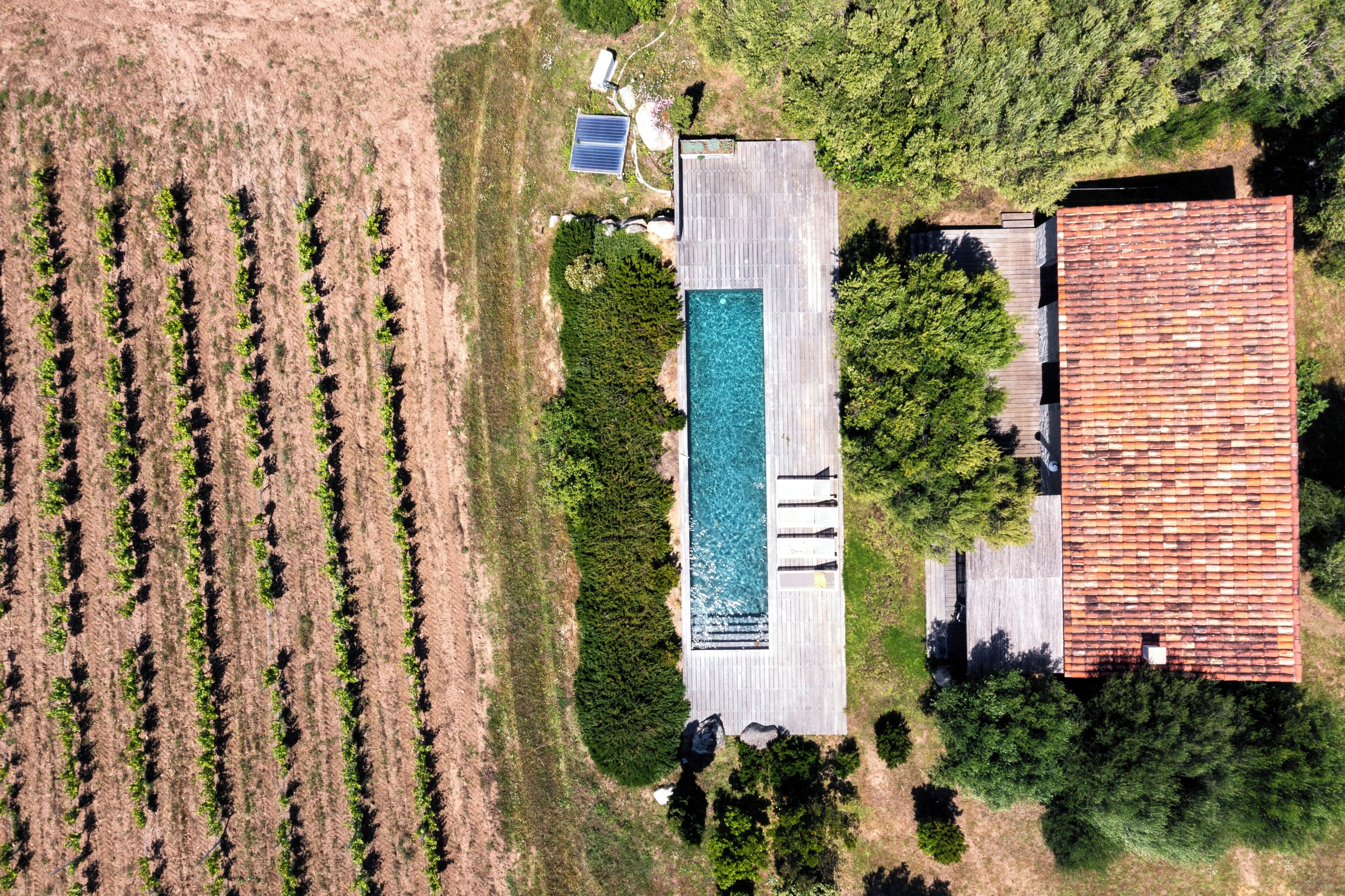 An aerial view of a property with a swimming pool, solar panels, and a vineyard.