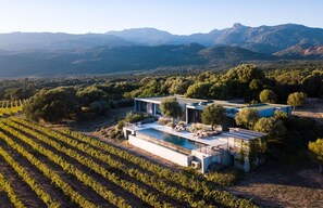 Winery - Domaine de Peretti della Rocca (Figari)