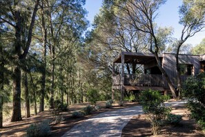 客房内保险箱、特色装修、特色家居、免费 WiFi