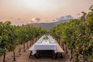 Restaurant - Domaine de Peretti della Rocca (Figari)