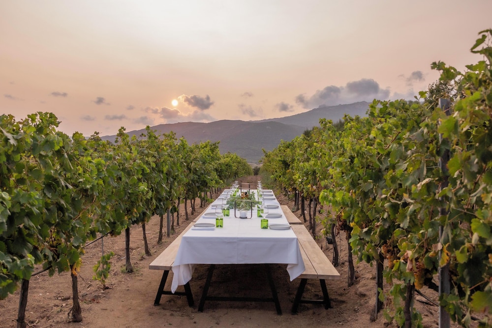 Domaine de Peretti della Rocca by null