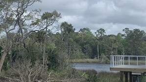 Vista al río con un muelle de madera que se adentra en el agua, rodeado de árboles frondosos y un cielo nublado.