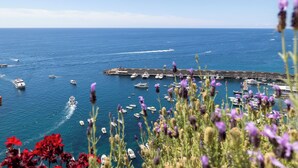 A harbor with boats and a pier. - Apartments Amalfi Design Sea View (Amalfi)