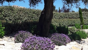 A landscaped garden with a large tree, rocky terrain, and purple flowering plants. - Luxury Villa With Private Pool in Cesseras (Cesseras)