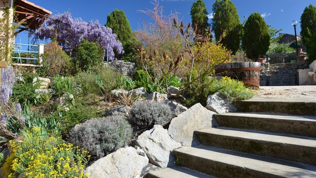 A garden with stone steps, various plants, and trees. - Courry Gem: Pool & Charm (Courry)