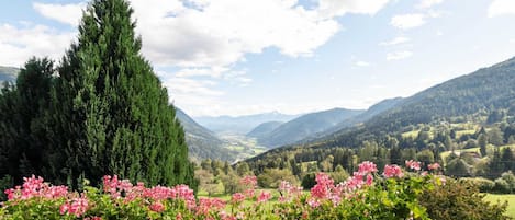 Una vista panorámica de un paisaje montañoso, con un banco de madera en primer plano y un cielo despejado.