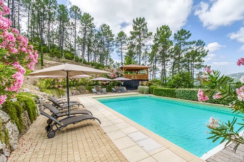 Villa in Le Muy With Private Pool & Forest