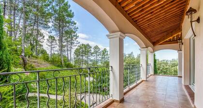 Villa in Le Muy With Private Pool & Forest