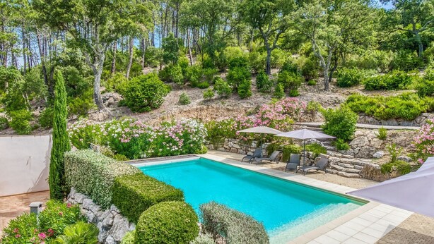 A swimming pool surrounded by lush greenery and a stone wall. - Villa in Le Muy With Private Pool & Forest (Le Muy)